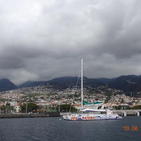 Stay In Madeira Funchal  Kültér fotó