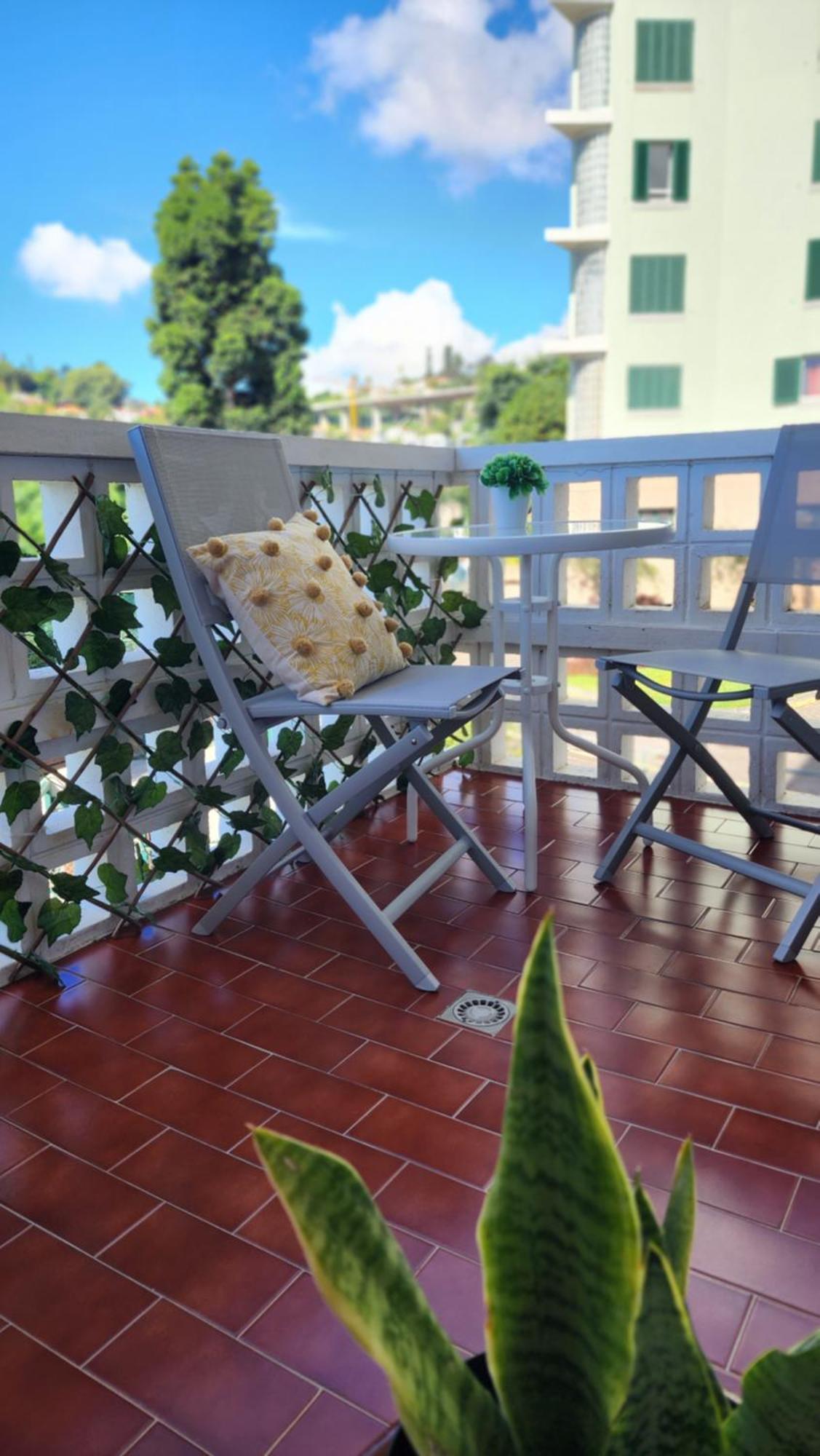 Stay In Madeira Funchal  Kültér fotó